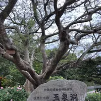 玉泉洞の写真・動画_image_177550