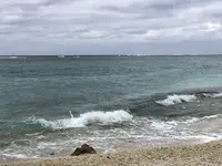 沖縄美ら海水族館の写真・動画_image_177553