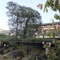 中村藤吉本店の写真・動画_image_177863