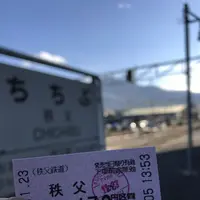 長瀞渓谷（岩畳）の写真・動画_image_178005