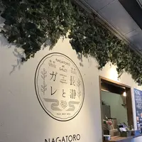 長瀞渓谷（岩畳）の写真・動画_image_178006