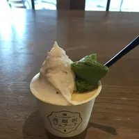 高根沢ジェラートの写真・動画_image_178208