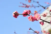 浜離宮恩賜庭園の写真・動画_image_178427