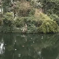 仙台堀川公園の写真・動画_image_178498