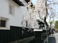 白壁土蔵街の写真・動画_image_178642