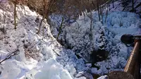 尾ノ内渓谷氷柱の写真・動画_image_178680