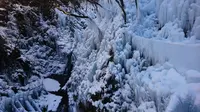 尾ノ内渓谷氷柱の写真・動画_image_178682