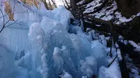 尾ノ内渓谷氷柱の写真・動画_image_178685