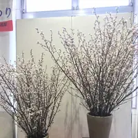 山形駅の写真・動画_image_178701