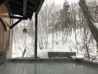 最上高湯善七乃湯 大平ホテルの写真・動画_image_178731