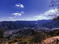 宝登山の写真・動画_image_178969