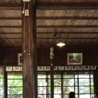 しむじょうの写真・動画_image_179057