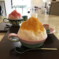 瑠庵+島色の写真・動画_image_179058