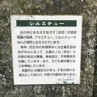 シルミチューの写真・動画_image_179078
