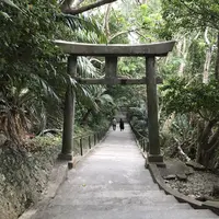 シルミチューの写真・動画_image_179080