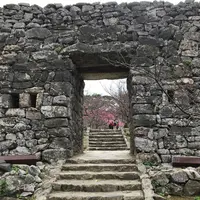 今帰仁城跡の写真・動画_image_179111