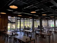 レインフォレストカフェ 青島屋店の写真・動画_image_179211