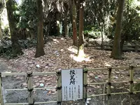 青島神社の写真・動画_image_179249