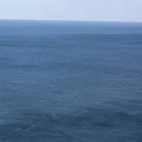 サンメッセ日南の写真・動画_image_179250