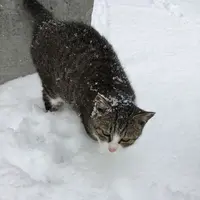 仁斗田港の写真・動画_image_179631