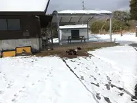 石巻市マンガアイランドの写真・動画_image_179636