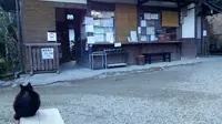 浄瑠璃寺の写真・動画_image_179913