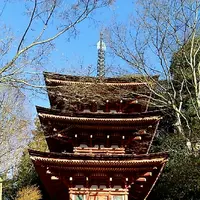 浄瑠璃寺の写真・動画_image_179920