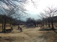 けいはんな記念公園の写真・動画_image_179949