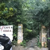 Cafe icharaの写真・動画_image_180020