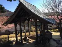 伊豆高原駅 伊豆急行の写真・動画_image_180099