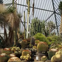 伊豆シャボテン動物公園の写真・動画_image_180102