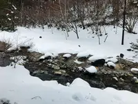 西の河原公園の写真・動画_image_180138