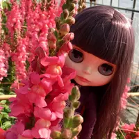白間津花畑の写真・動画_image_180310