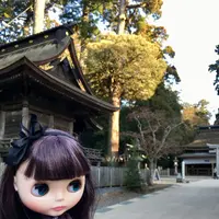 鹿島神宮の写真・動画_image_180326