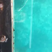 野島埼灯台の写真・動画_image_180335
