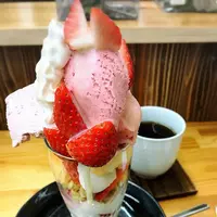 コナヤの写真・動画_image_180395