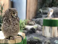 伊豆シャボテン動物公園の写真・動画_image_180575