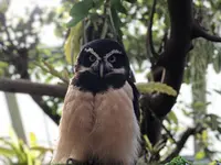 伊豆シャボテン動物公園の写真・動画_image_180576