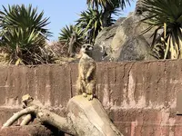 伊豆シャボテン動物公園の写真・動画_image_180581