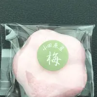 鈴廣 かまぼこの里の写真・動画_image_181058