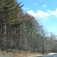 日本ロマンチック街道の写真・動画_image_181574