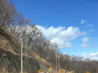 軽井沢の写真・動画_image_181600