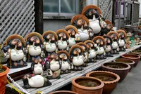 とこなめ焼卸団地（セラモール）の写真・動画_image_181684