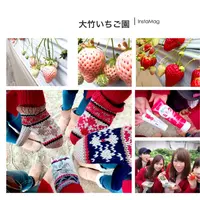 大竹いちご園の写真・動画_image_181742