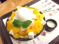 ソルビン(설빅)の写真・動画_image_181756