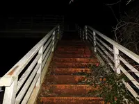 日本平パークウェイの歩道橋の写真・動画_image_181988