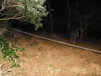 日本平パークウェイの歩道橋の写真・動画_image_181993