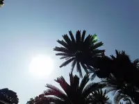 久能山東照宮の写真・動画_image_182000