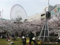 横浜汽車道の写真・動画_image_182187