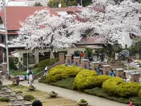 元町公園の写真・動画_image_182206